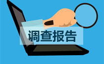 调查报告格式写作指导